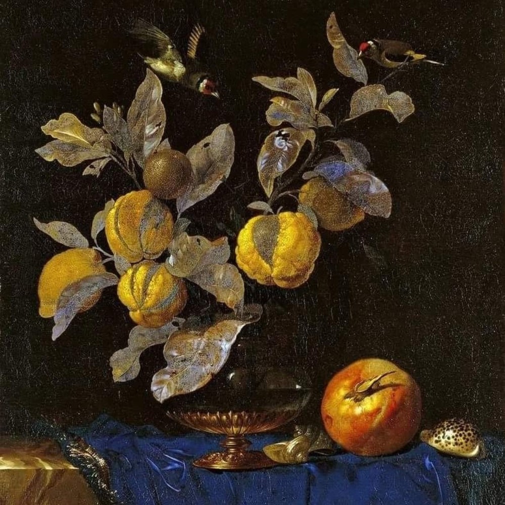 Meet your Posher, Marina